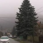 Dubicsány karácsonyfa